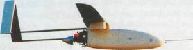 p-7.jpg
